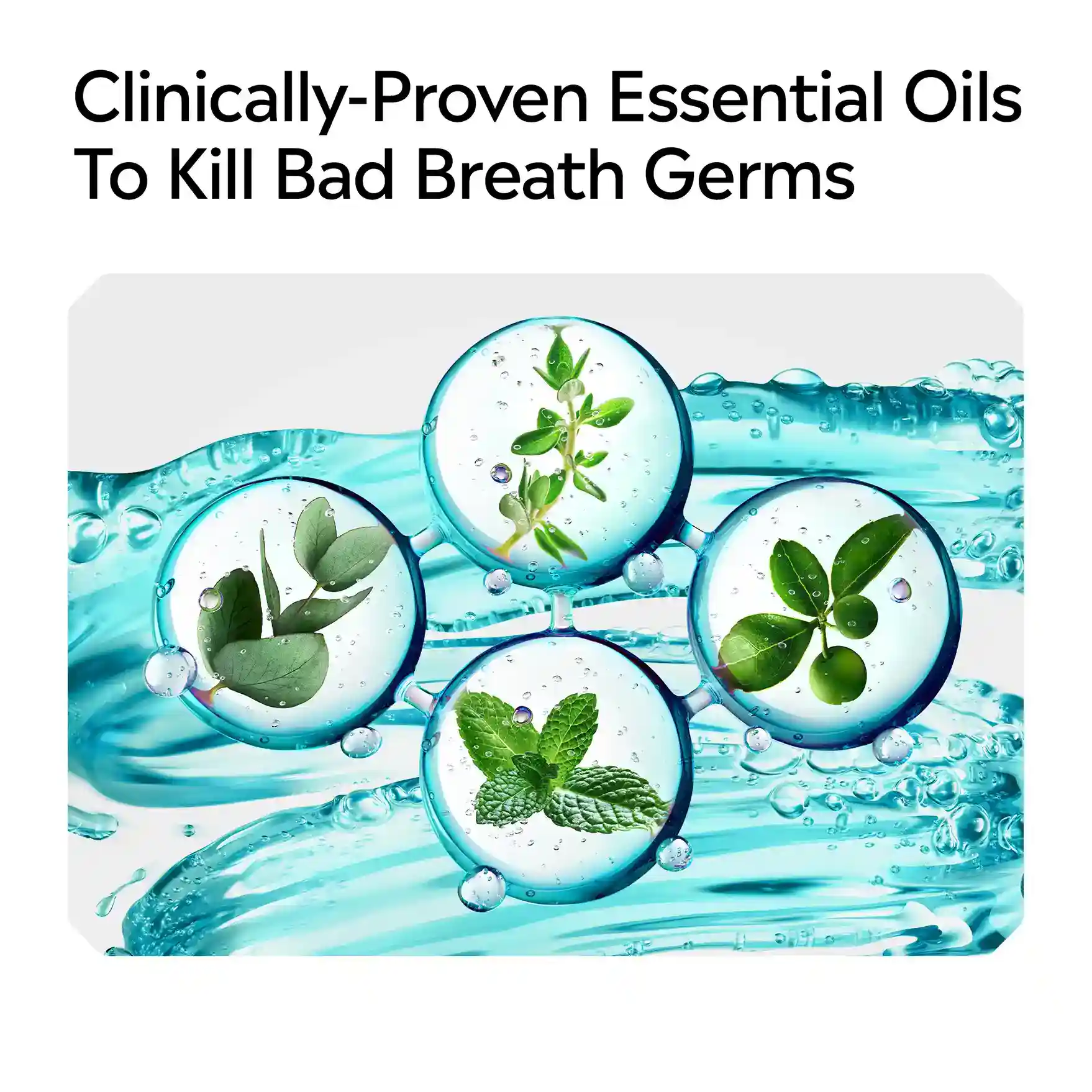 Clinically-proven essential oils to kill bad breath germs