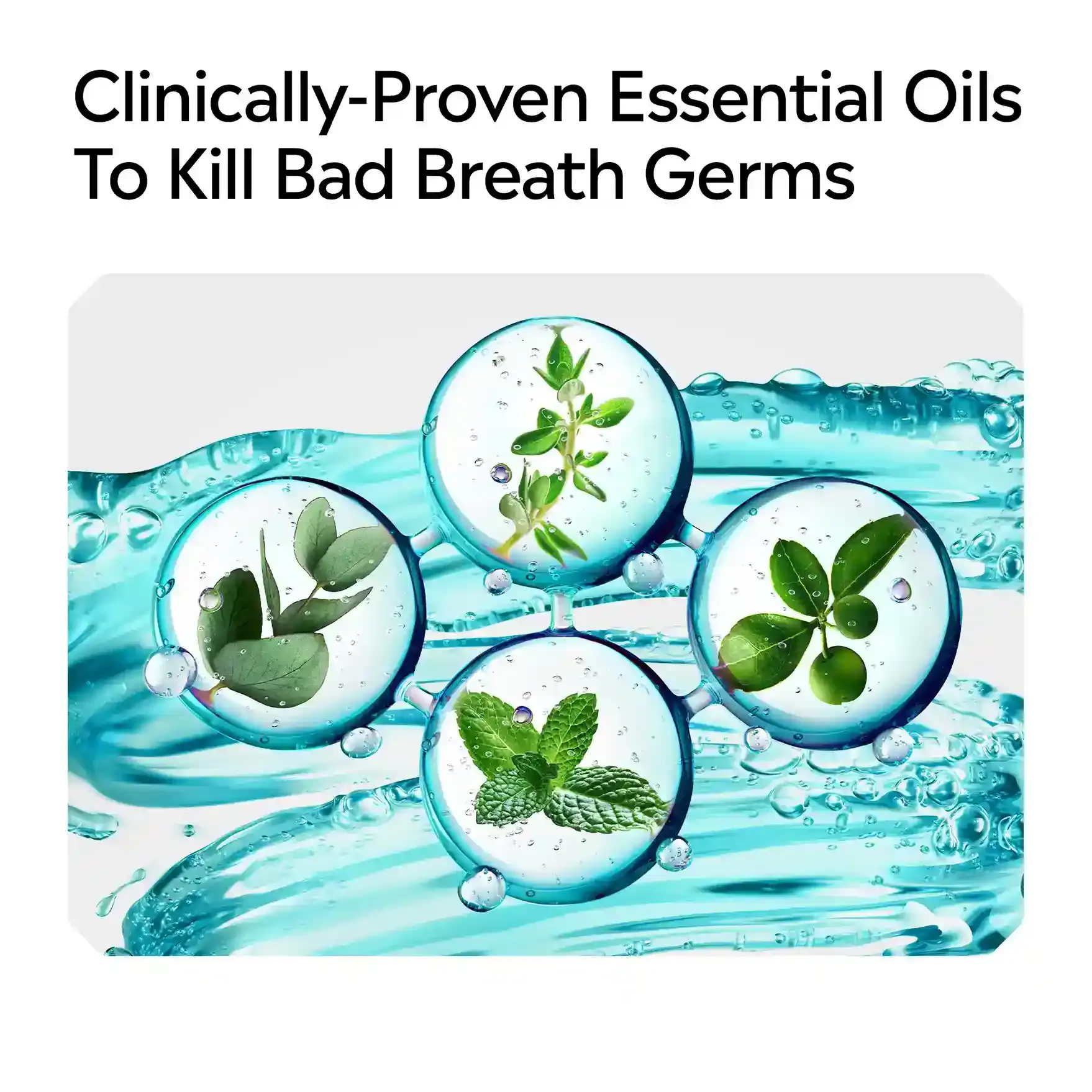 Clinically-proven essential oils to kill bad breath germs