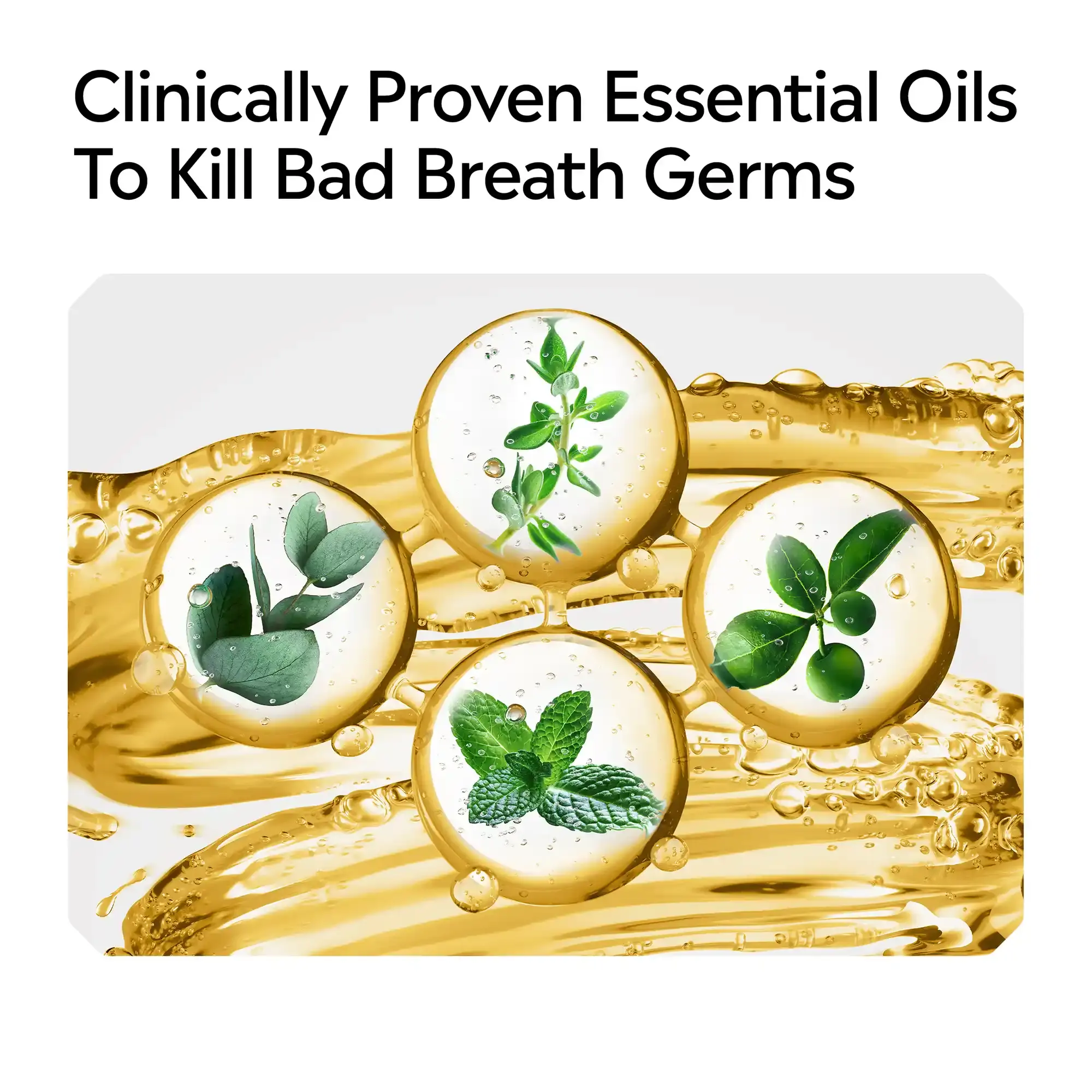 Clinically proven essential oils to kill bad breath germs
