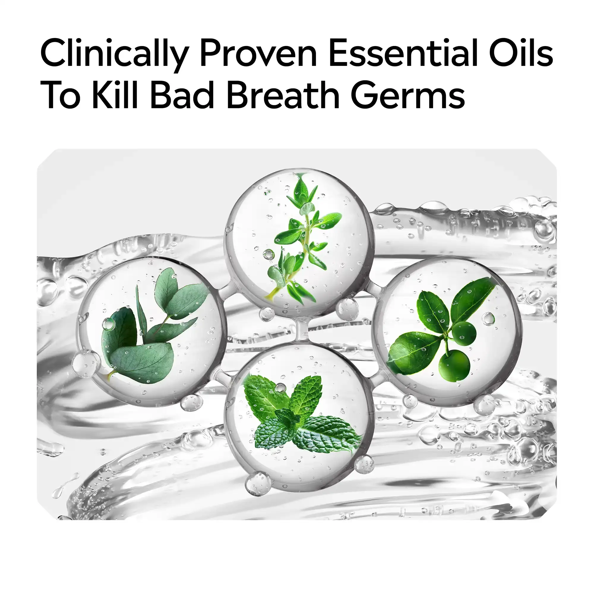 Clinically proven essential oils to kill bad breath germs