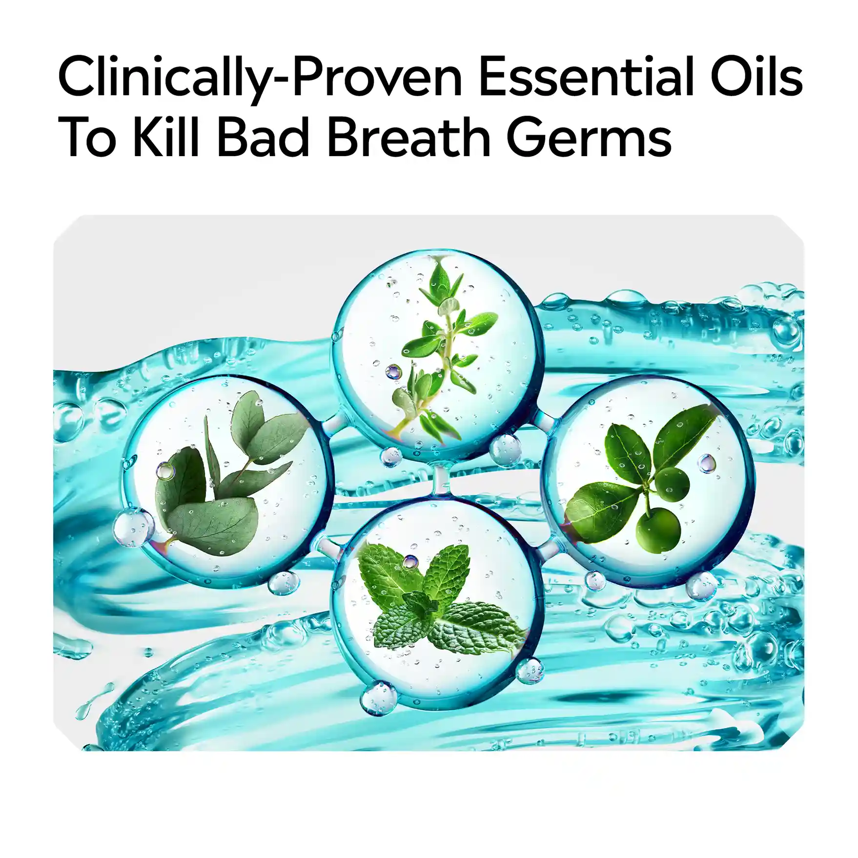 Clinically-proven essential oils to kill bad breath germs