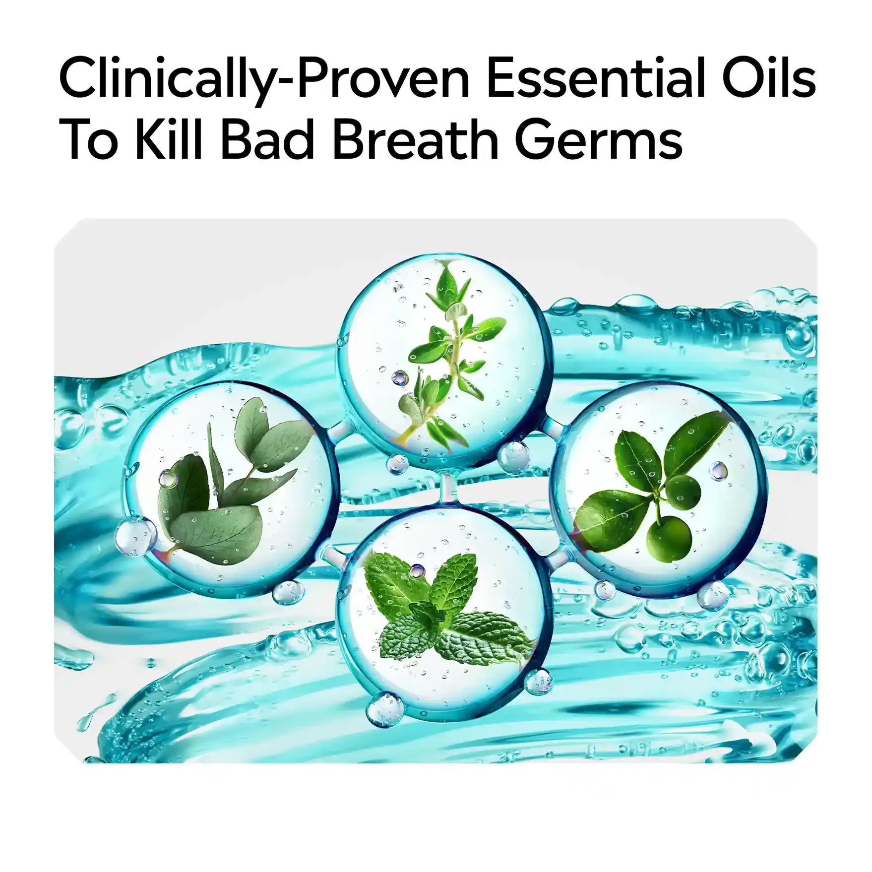 Clinically-proven essential oils to kill bad breath germs