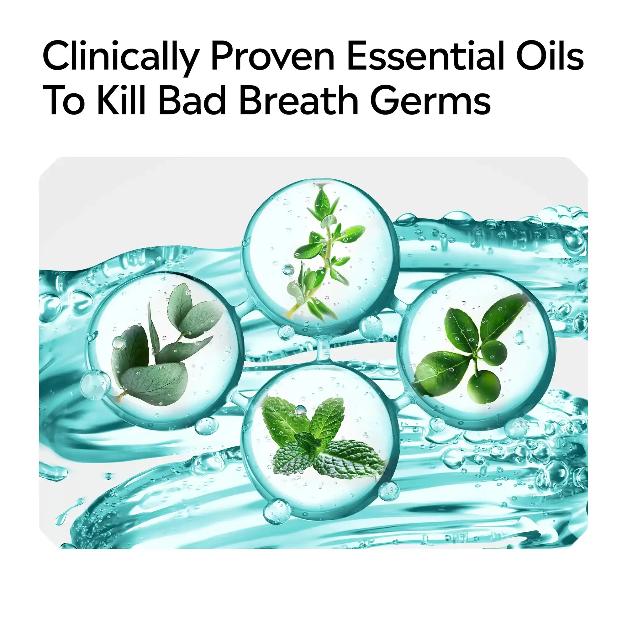 Clinically proven essential oils to kill bad breath germs