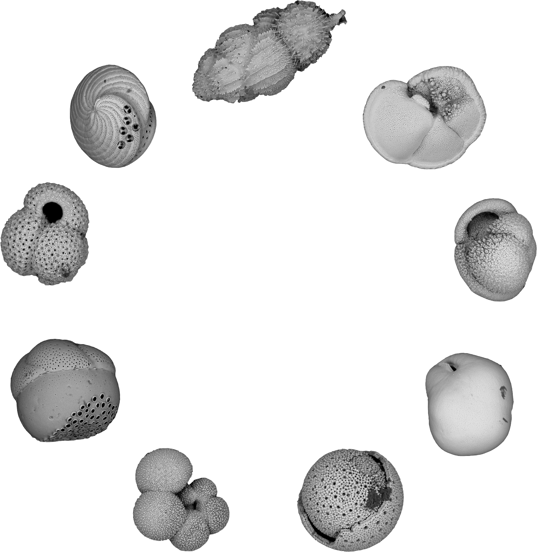 On Micro- and Macroscopic houses