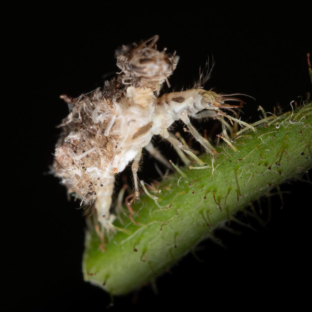 Interactive Building Workshop Waag
