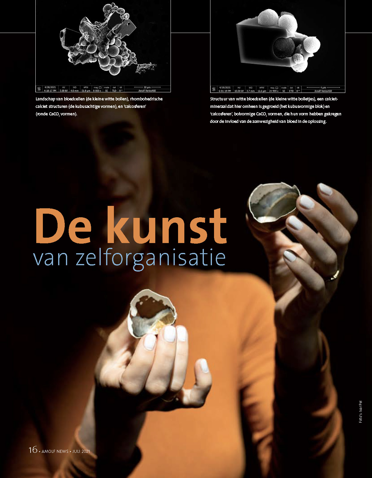 AMOLF NEWS Interview