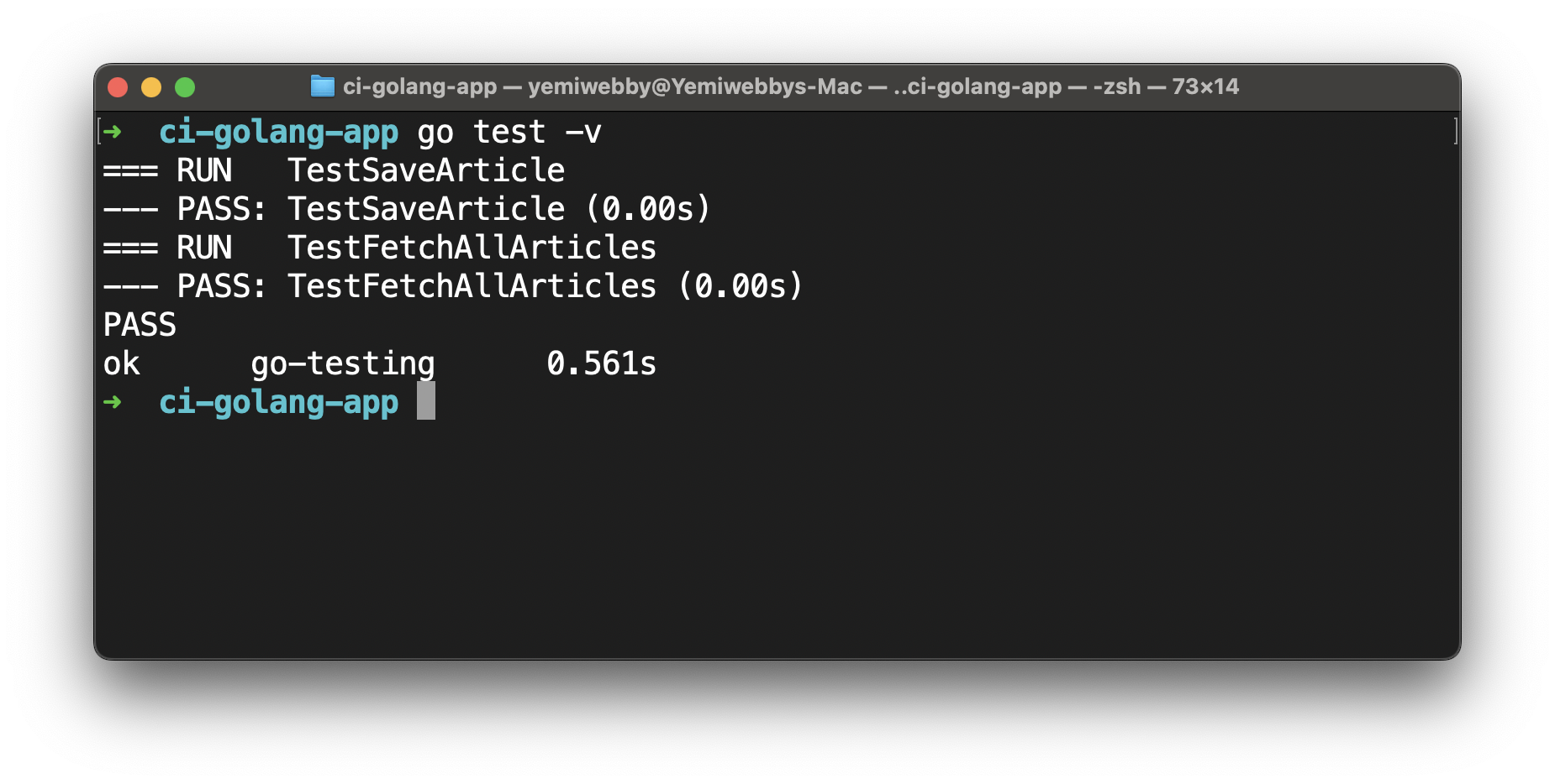 Continuous integration for Go applications - CircleCI