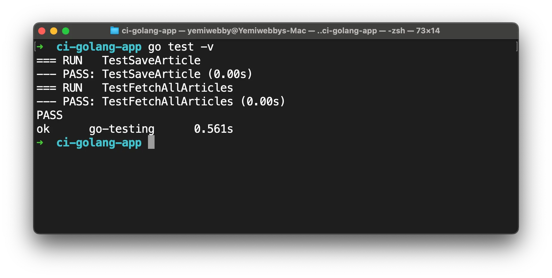 Continuous integration for Go applications - CircleCI