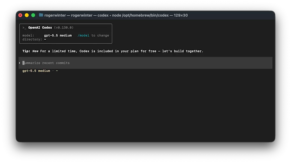 Setting up the Codex CLI