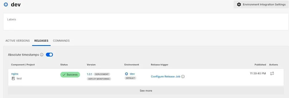 Releases page for dev environment