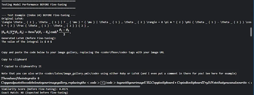 Testing the model before finetuning