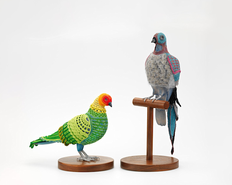 Biodiversity Reclamation Suits for Urban Pigeons | Smithsonian ...