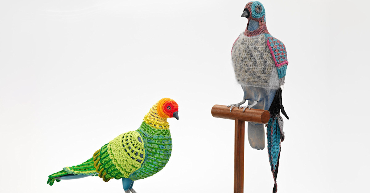 Hope Roth Biodiversity Reclamation Suits for Urban Pigeons | Smithsonian ...