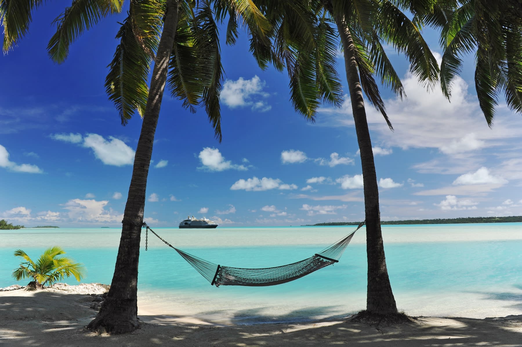 The Benefits of Booking a Peak Season Cruise 