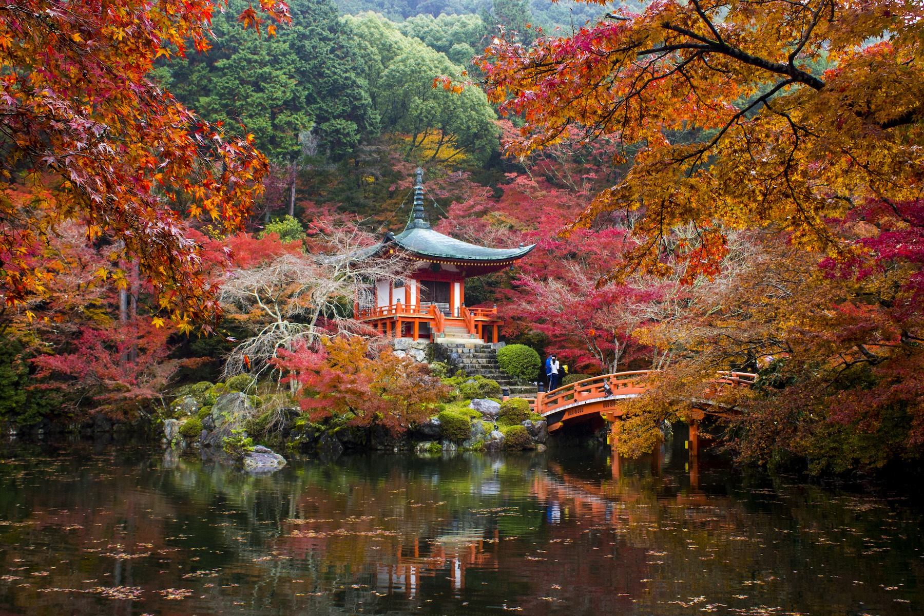 The World's Best Destinations for Fall Foliage