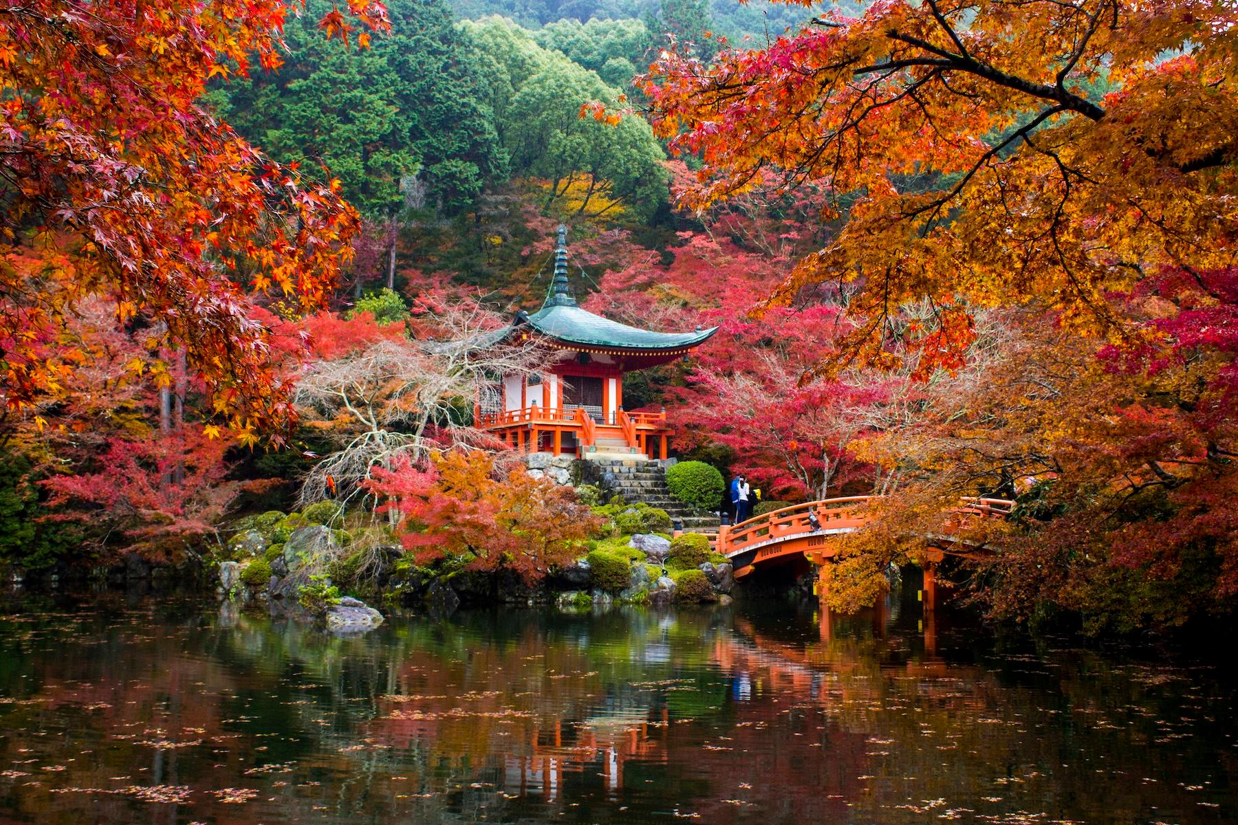 The World's Best Destinations for Fall Foliage