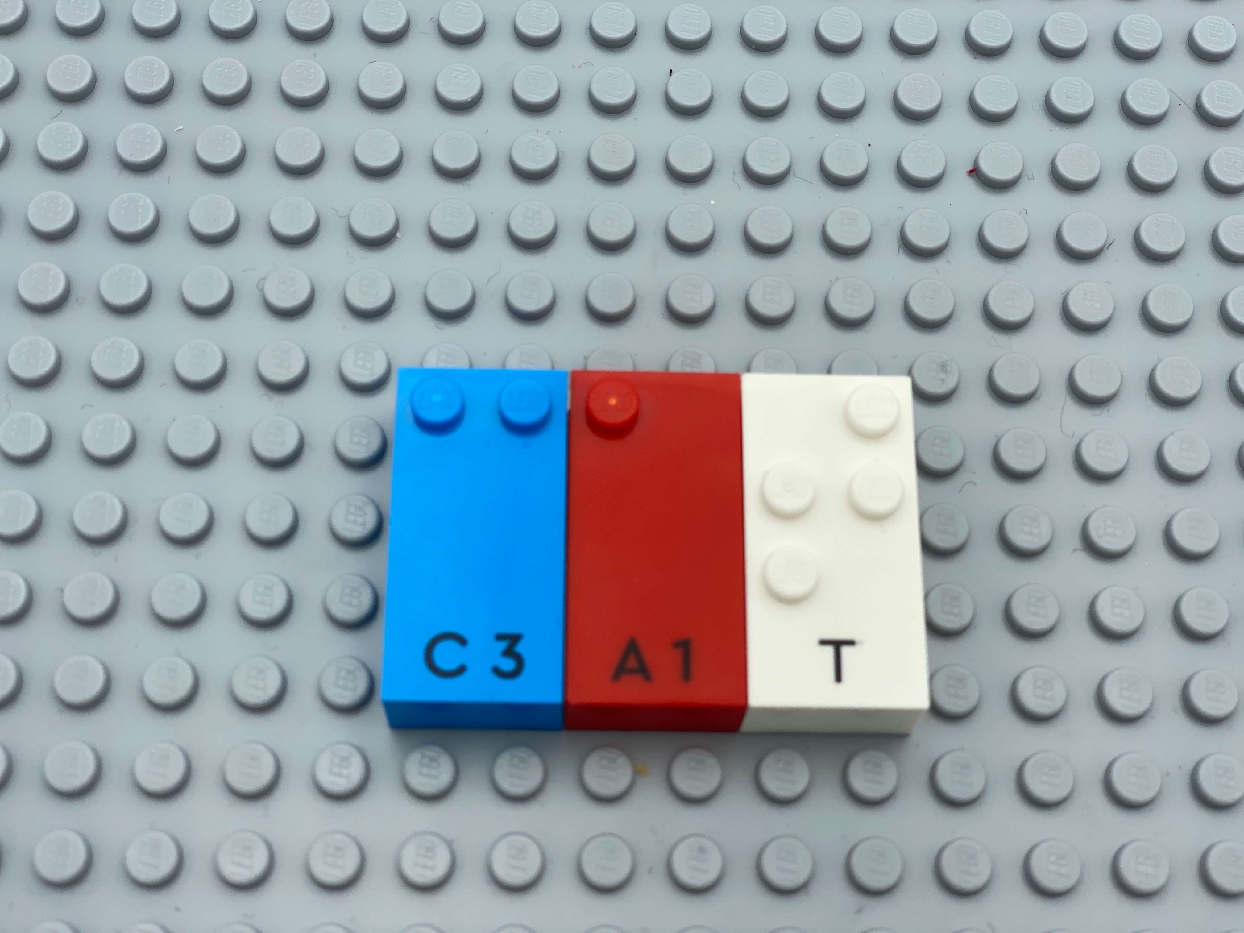 Letter bricks c, a, t (cat) aligned on the base plate.