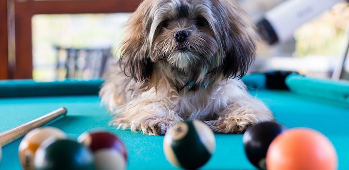 Pool table