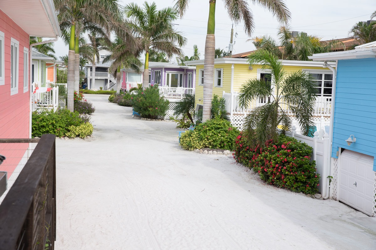 Beach House Rentals with Beach Views and Loads of Color