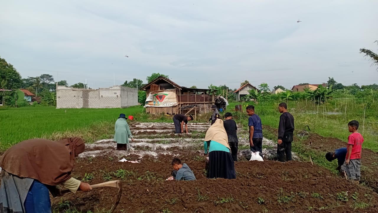 Budidaya Alam di Sekitar Sayogya