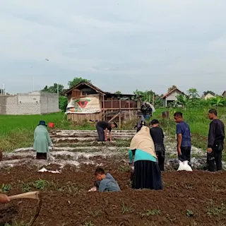 Budidaya Alam di Sekitar Sayogya