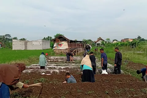 Budidaya Alam di Sekitar Sayogya