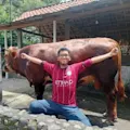 Irfan Dary Nasution