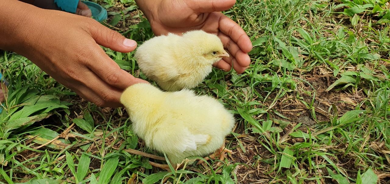 Prinsip Mengasuh Anak dalam Konteks Memahami Bakat