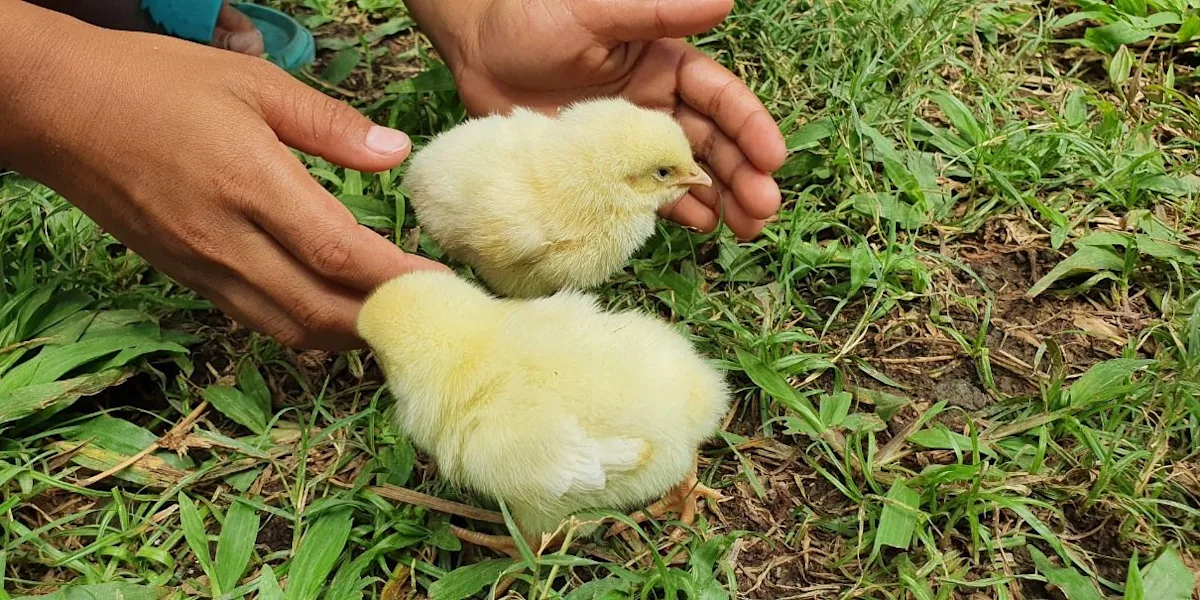 Prinsip Mengasuh Anak dalam Konteks Memahami Bakat