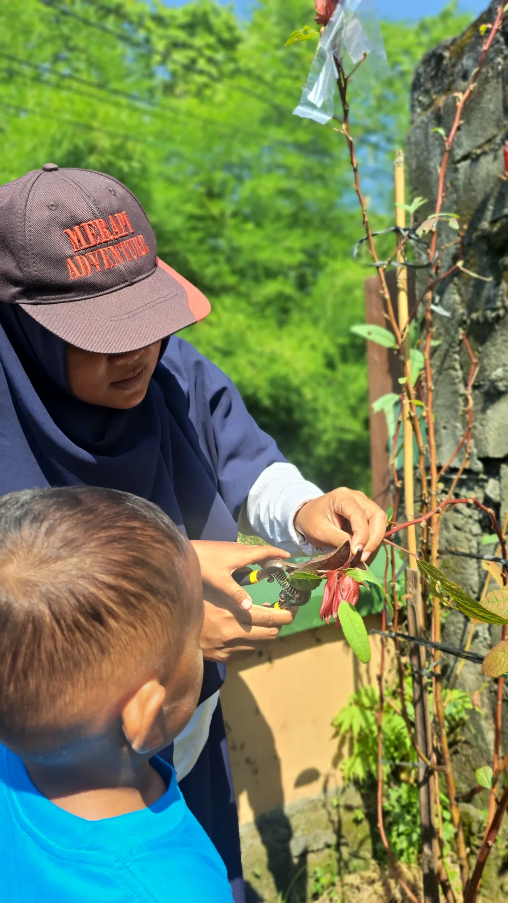 Pamong mendampingi anak mengenal dan mengamati tanaman