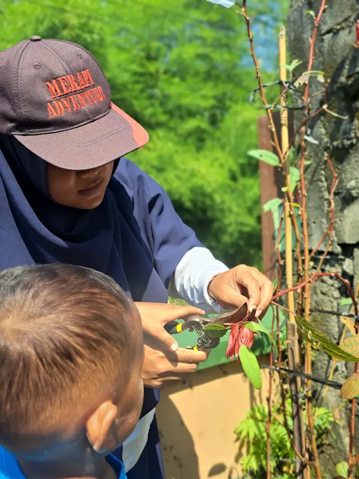 Pamong mendampingi anak mengenal dan mengamati tanaman