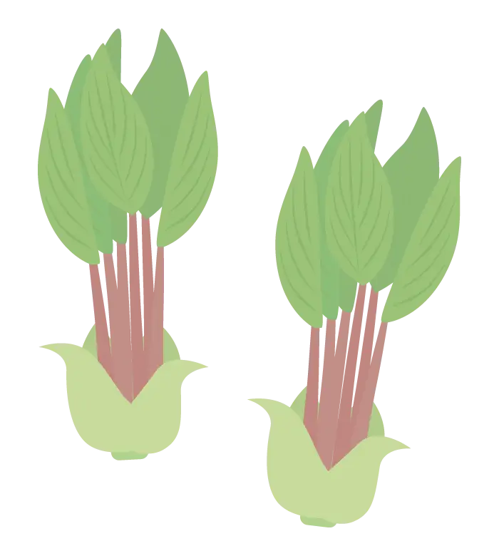 こしあぶらのイラスト