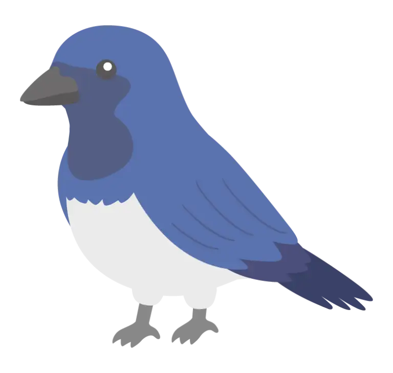 オオルリのイラスト