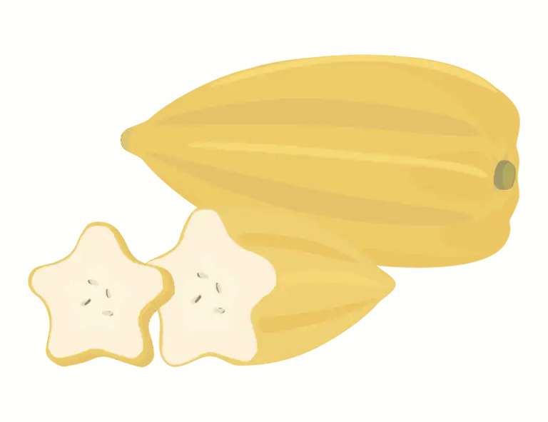 ババコのイラスト