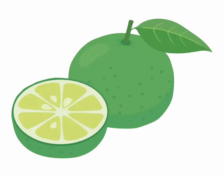 すだちのイラスト