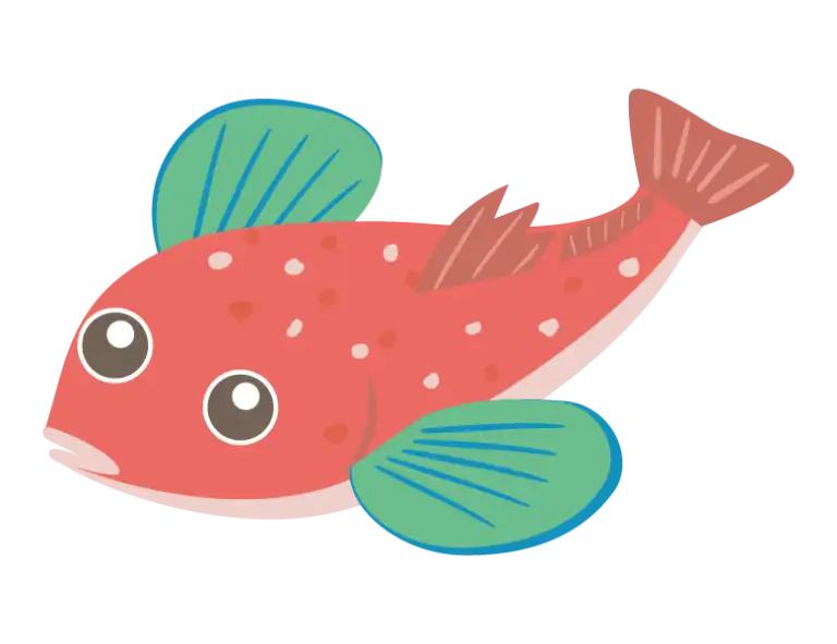 ホウボウのイラスト