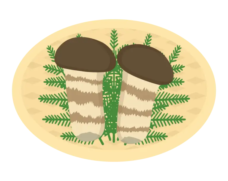 松茸のイラスト