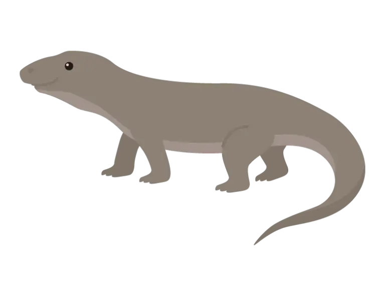コモドドラゴンのイラスト