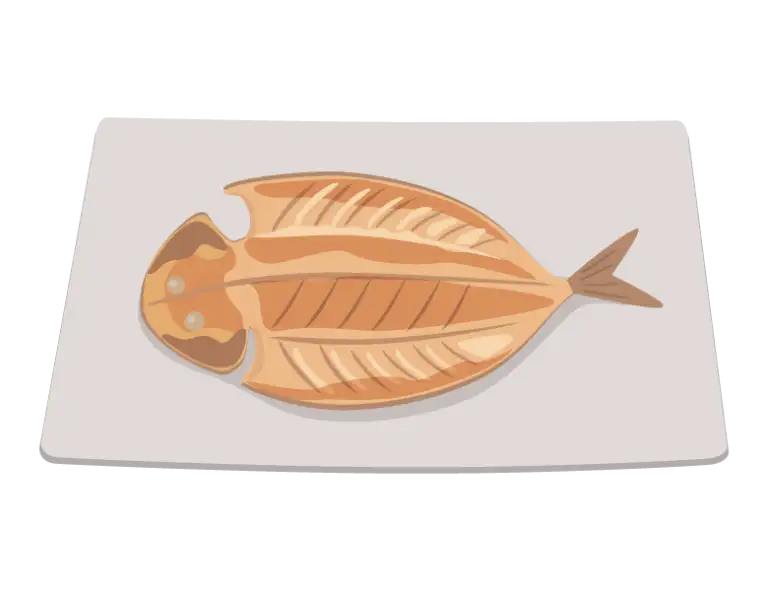 アジの開きのイラスト
