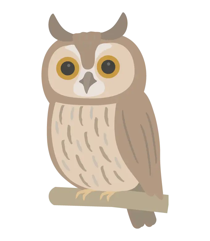 トラフズクのイラスト