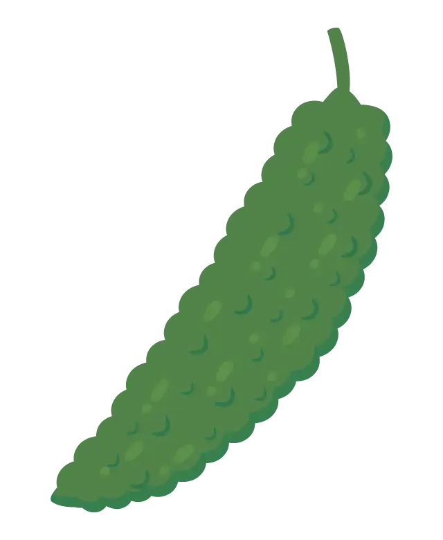 ゴーヤのイラスト