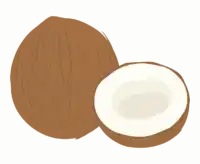 ココナッツのイラスト
