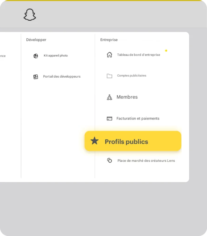 Menu d Ads Manager mettant en avant l option snapchat public profile dans les outils business.
