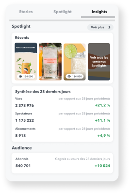 Capture d'écran d'Insights de profil public sur Snapchat.