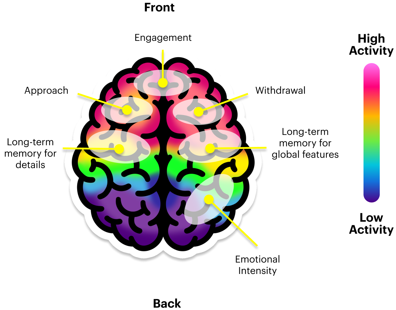 Diagram illustrating how memory and engagement work in the brain in the context of high activity and low activity