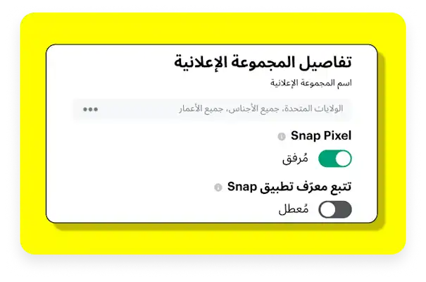 Dialog box showing how to attach the Snap pixel to your campaigns.
