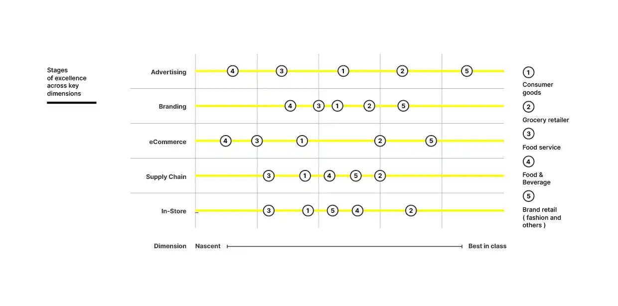 Stages of excellence across key dimensions