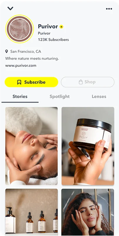 Snapchat Public Profile example displaying brand details subscriber count and Stories grid for audience engagement.