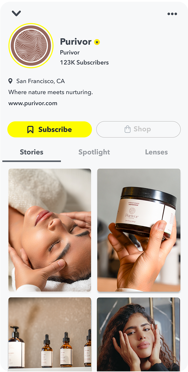 Snapchat Public Profile example displaying brand details subscriber count and Stories grid for audience engagement.