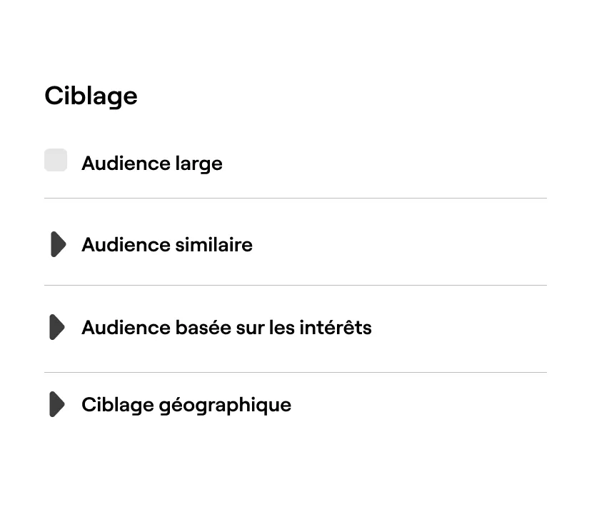 Targeting interface with options for broad audience, lookalike audience, and interest-based audience